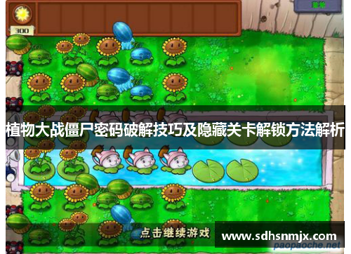 植物大战僵尸密码破解技巧及隐藏关卡解锁方法解析